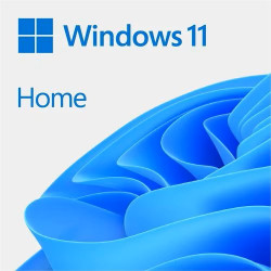 WIN HOME 11 64-BIT ALL LNG ESD .