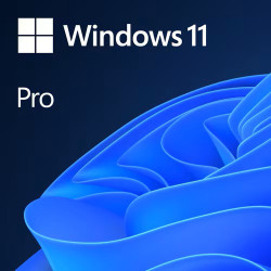 OEM Windows 11 Pro 64 Bit | Ingram Micro
